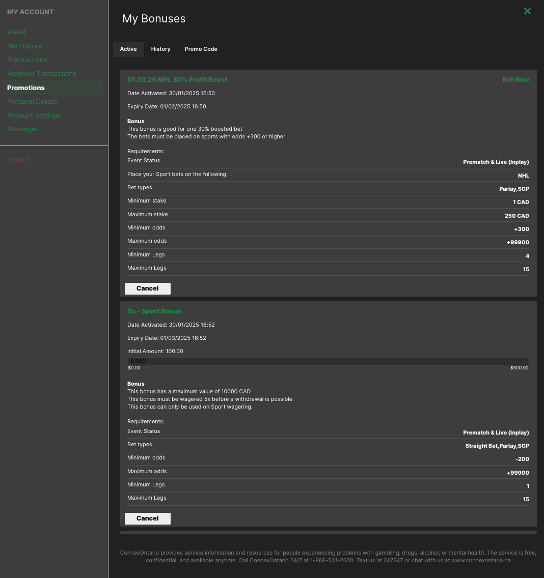 Screenshot 2025-01-30 at 4.53.58 PM.png