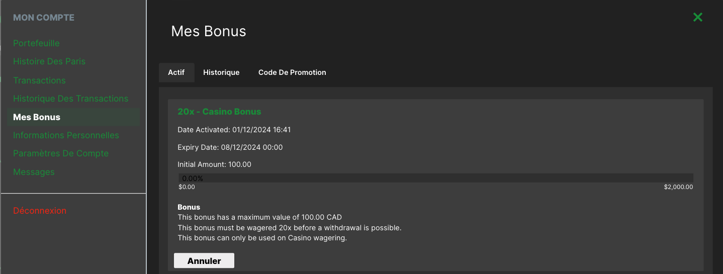 Screenshot 2024-12-01 at 4.41.48 PM.png